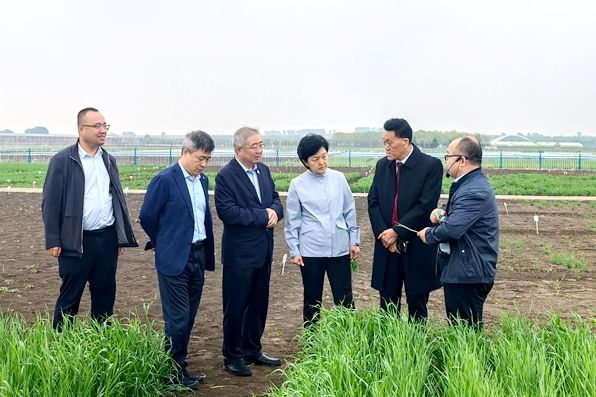 校党委书记赵凯带队参加中俄林业教育科技产业创新联盟成立大会